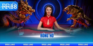 rồng hổ